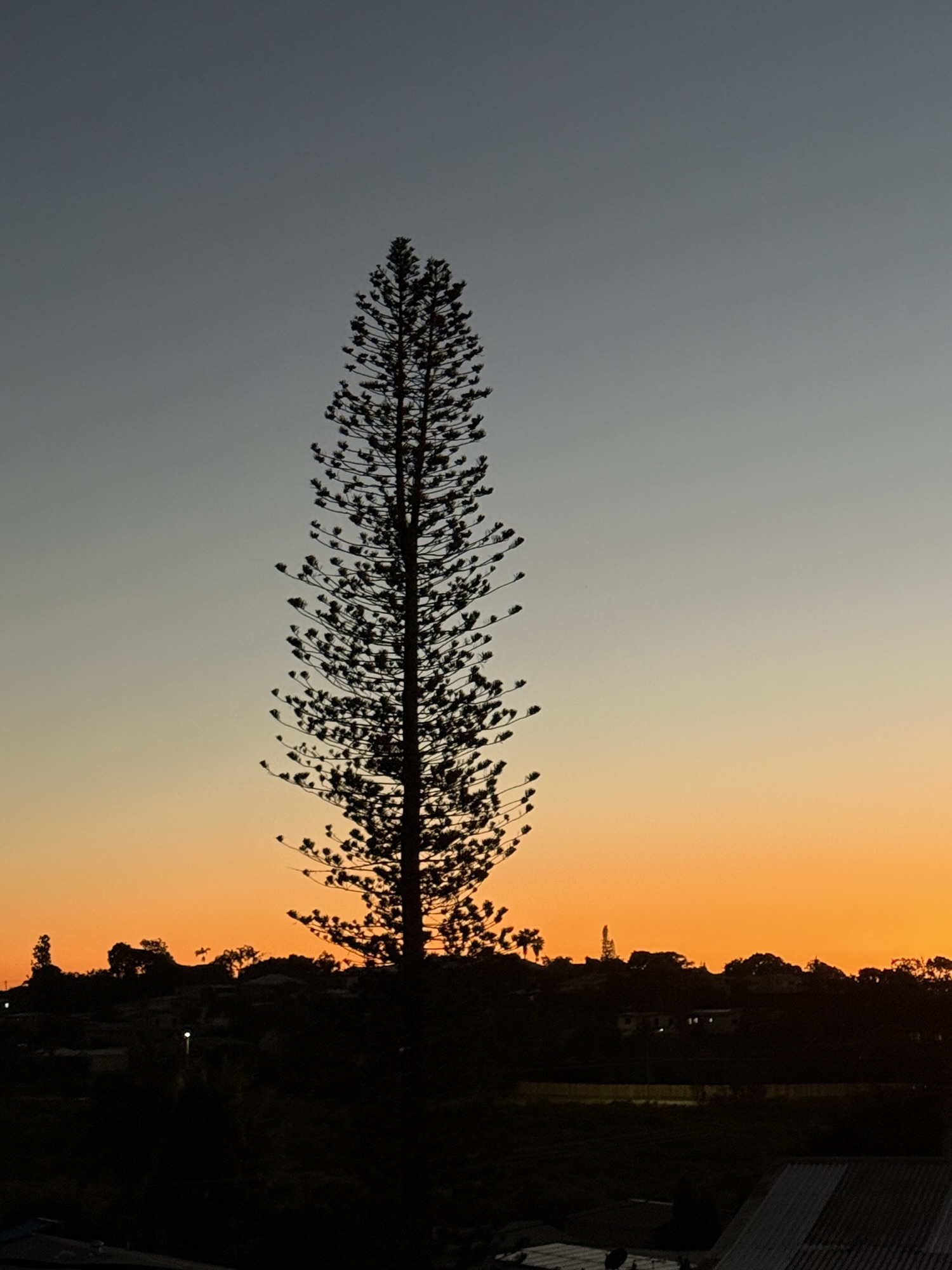 A Quiet Dawn